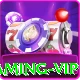 54888 Gaming VIP