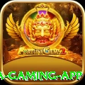 contavip Mega Gaming App