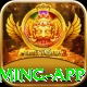 contavip Mega Gaming App
