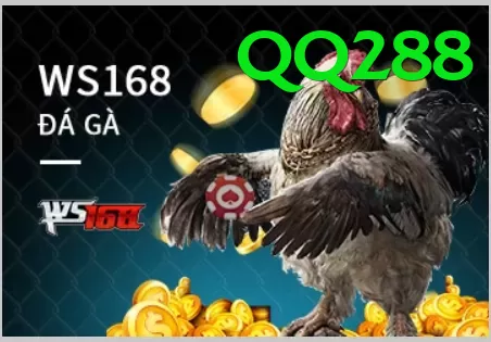 Đá Gà Trực Tiếp - qq288 - Giải đấu
